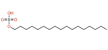 1-Heptadecanyl sulfate